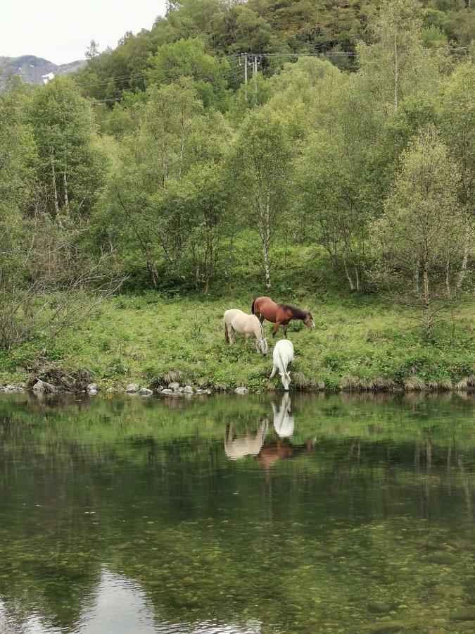 Steinklepp Camping Kvamme Bagian luar foto